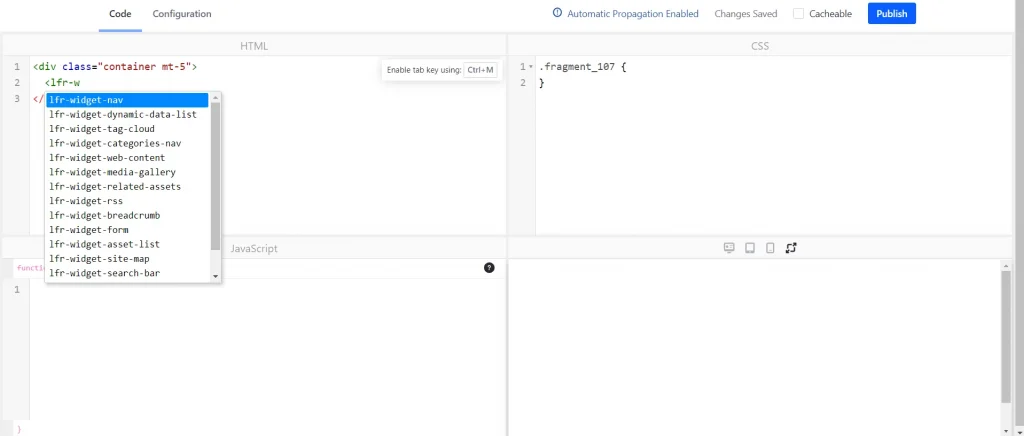 Access and use of fragment in a page