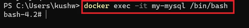 Docker Bash Shell Execution Command