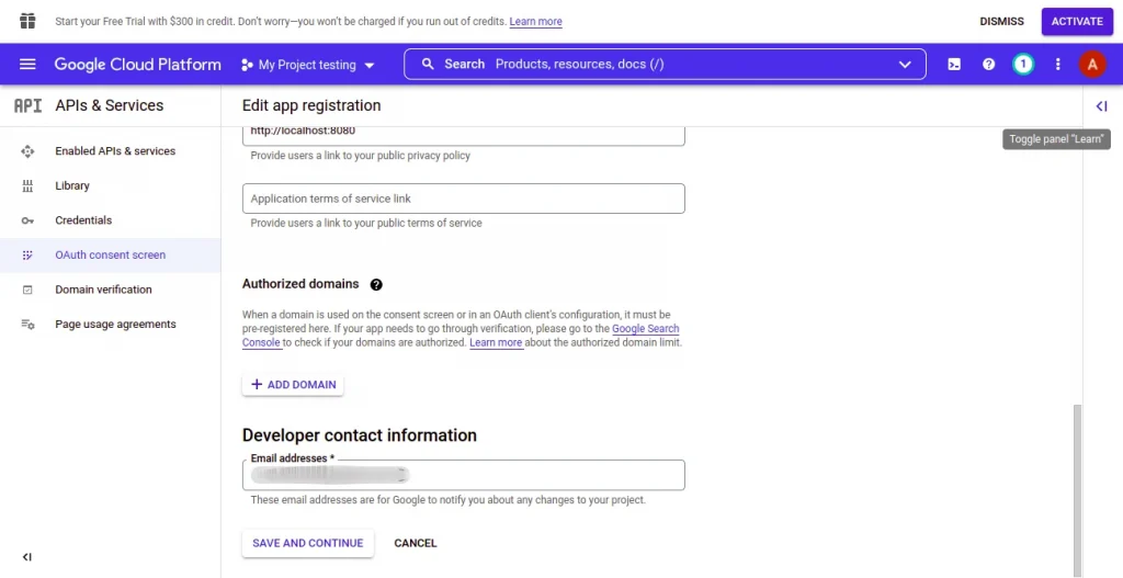 Setup Google APIs for Liferay integration